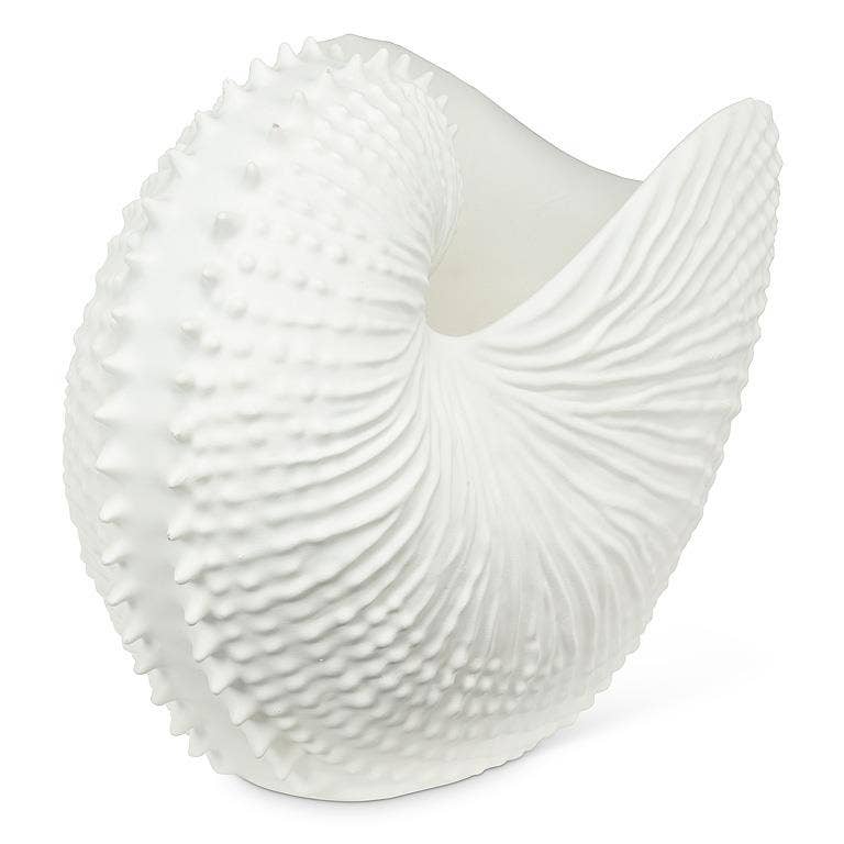 White Resin Nautilus Shell