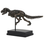 T-Rex Dinosaur Fossil On Base