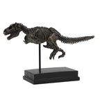 T-Rex Dinosaur Fossil On Base