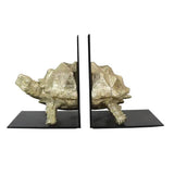 Tortoise Bookend