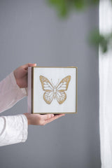 7x7x3" Butterfly Box - White