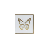 7x7x3" Butterfly Box - White