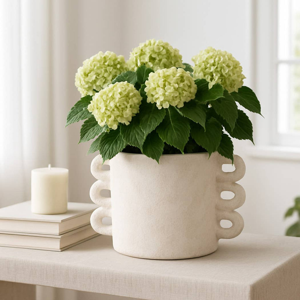 White Arch Handle Round Planter