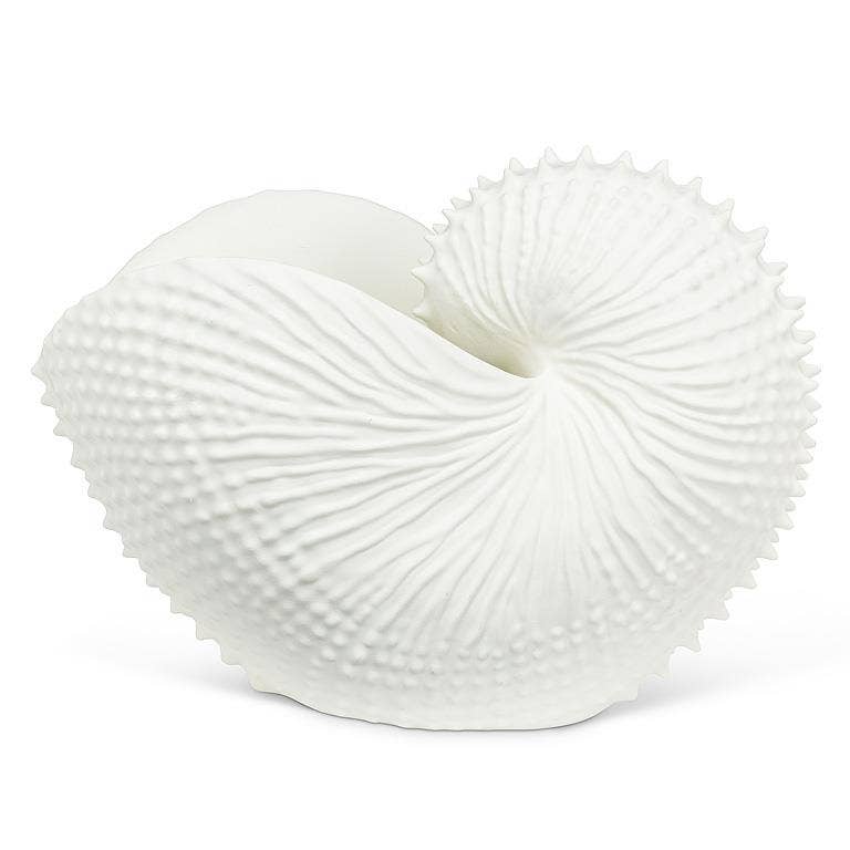 White Resin Nautilus Shell