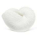 White Resin Nautilus Shell
