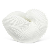 Jumbo Nautilus Shell Holder-13"L
