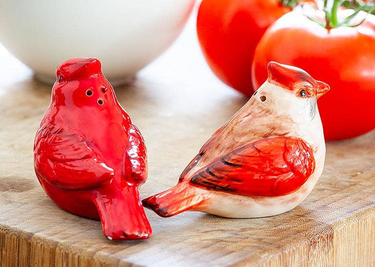 Cardinal Ceramic Salt & Pepper Shakers