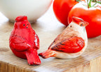Cardinal Ceramic Salt & Pepper Shakers