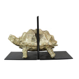 Tortoise Bookend