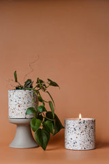 Nico Candle (6 oz) - Soy Wax, Non-Toxic, Best Seller: Sandalwood & Tobacco Leaf