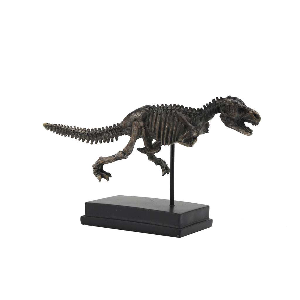 T-Rex Dinosaur Fossil On Base