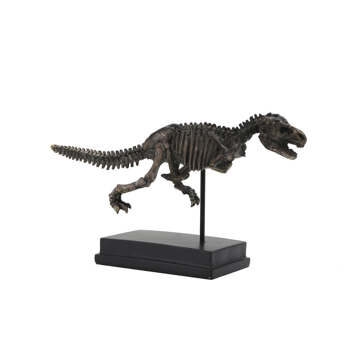 T-Rex Dinosaur Fossil On Base