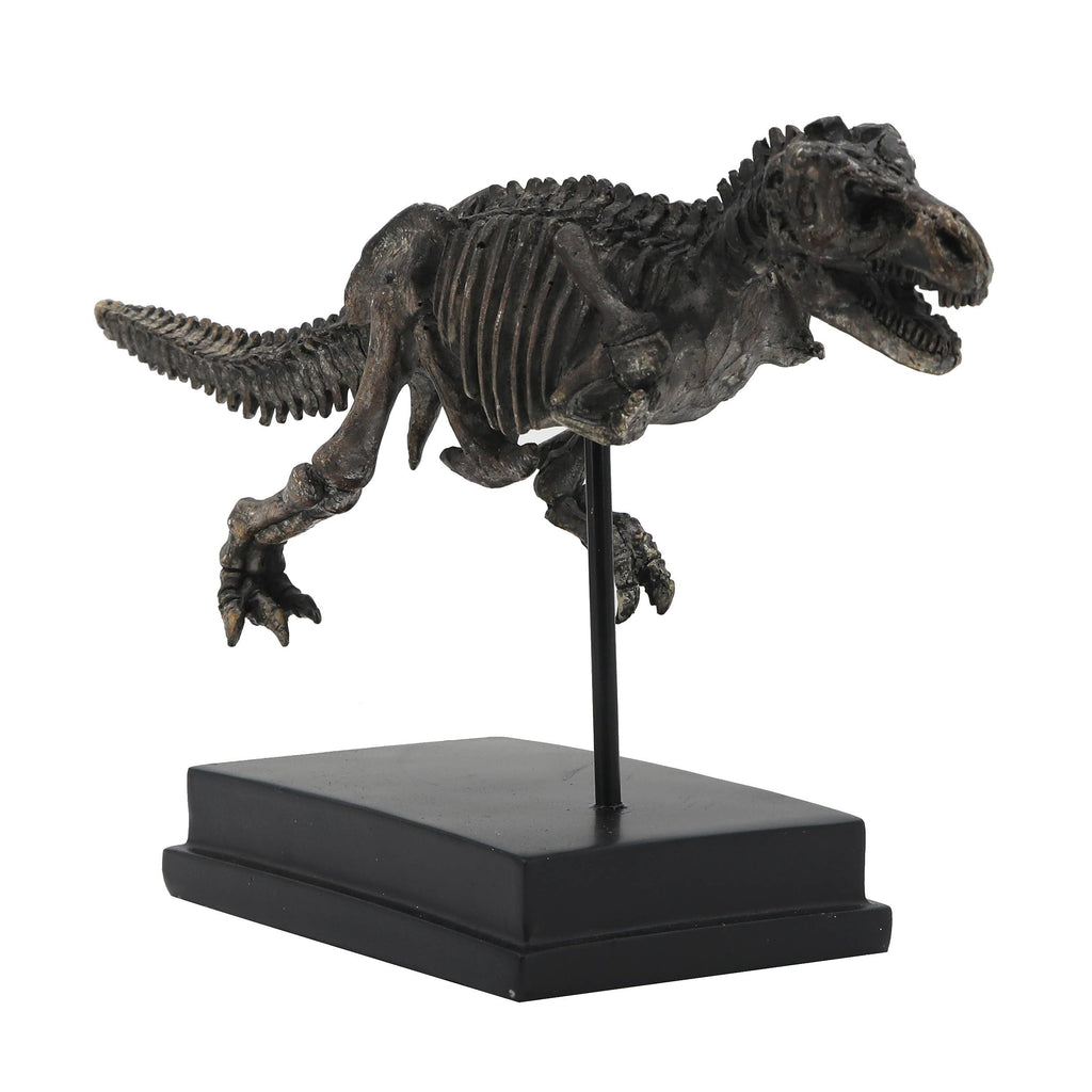T-Rex Dinosaur Fossil On Base