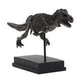 T-Rex Dinosaur Fossil On Base