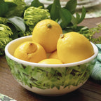 Pura Vida Melamine Bowls, Set of 4