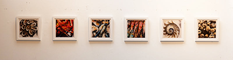 'Crabs By The Sea' Series 2