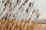 On The Boardwalk