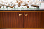 Drawer Pull Butterfly Gold