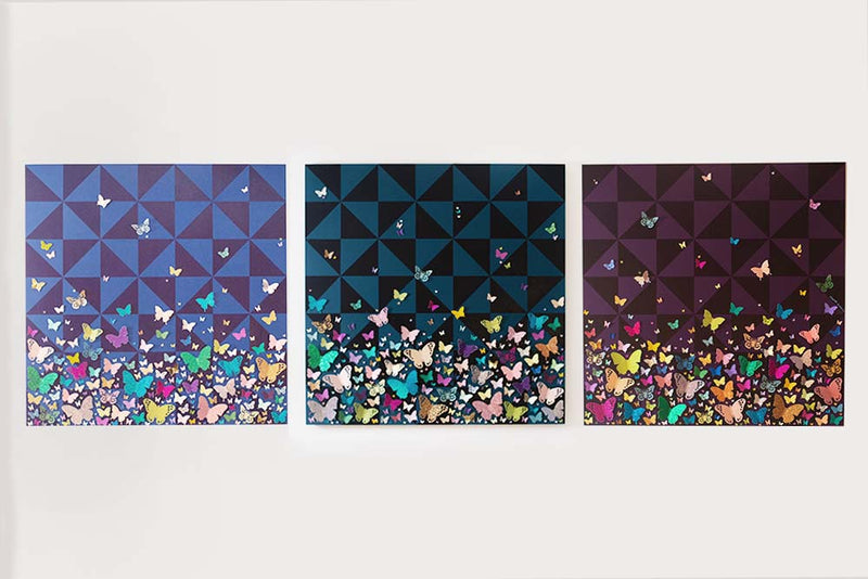 Two Tone Prism Butterflies 2
