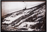 Above the Pines