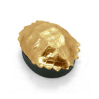 Gold Turtle Shell Box