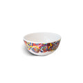 Multicolored Roses Bowl Set, melamine dinnerware