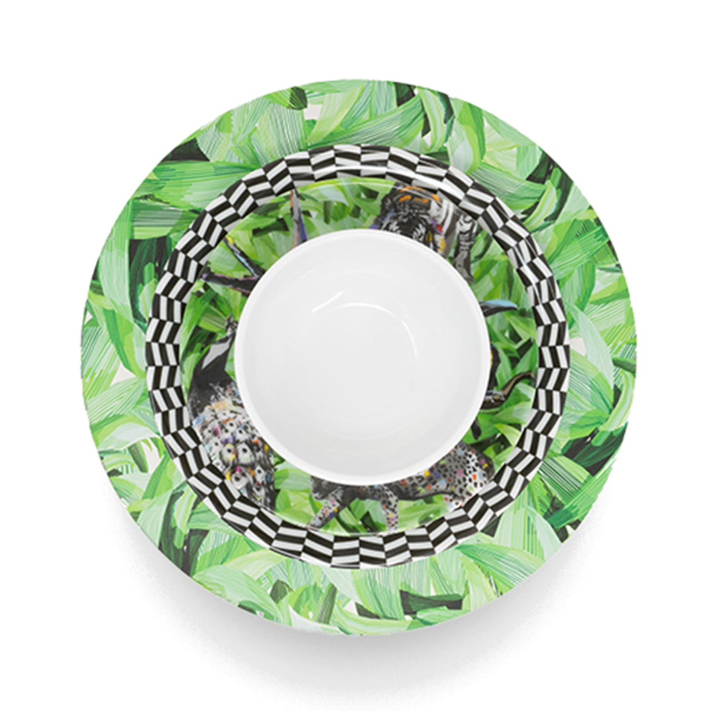 Natural Elegance Set 16 Piece Setting, melamine dinnerware