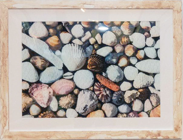 Seashells By The Seashore