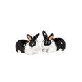 Dutch Rabbit Ceramic Salt & Pepper Shakers