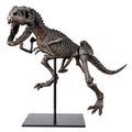 Faux T-Rex Tyrannosaurus Rex Dinosaur Fossil