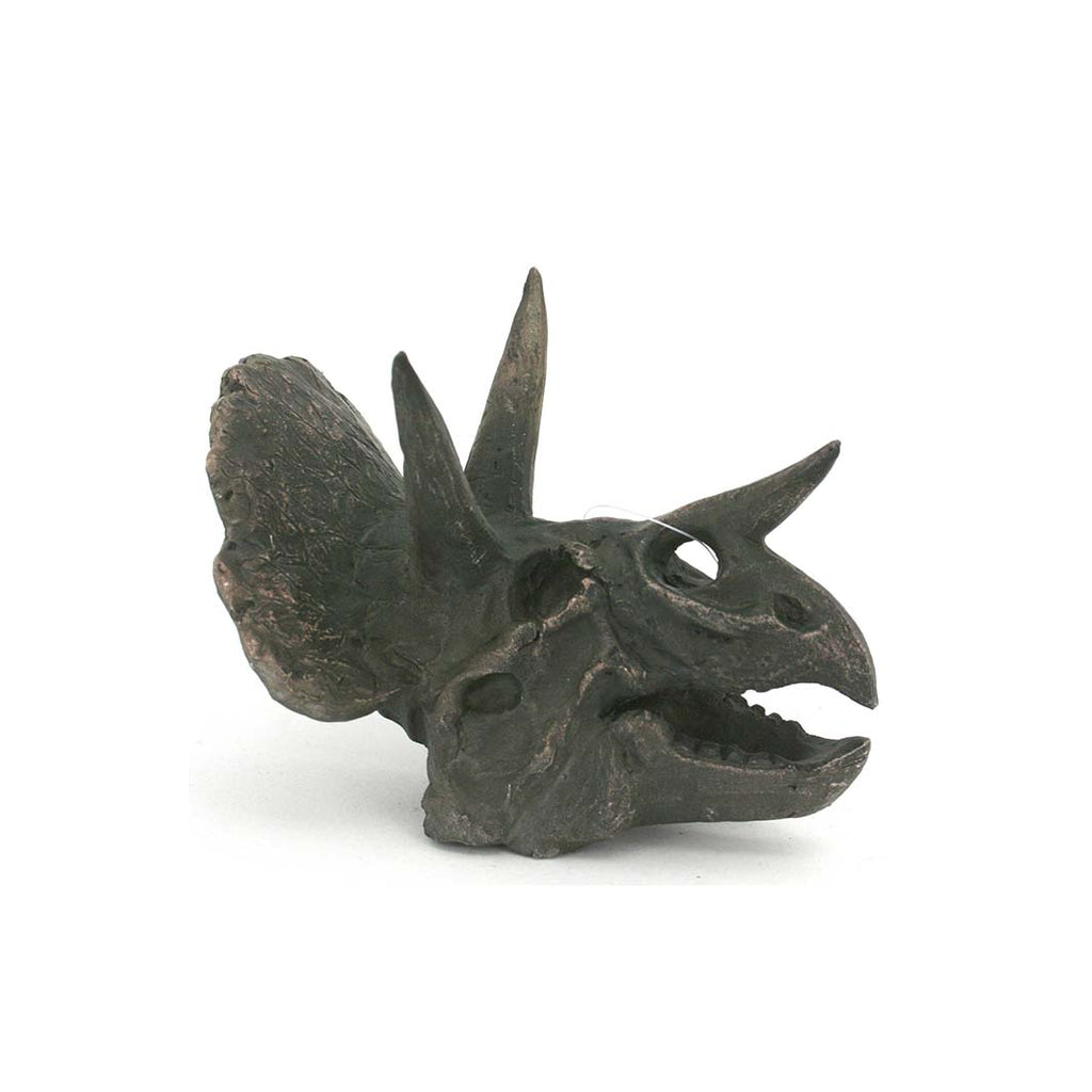 Faux Triceratops Dinosaur Fossil Skull