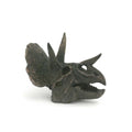 Faux Triceratops Mini Dinosaur Fossil Skull