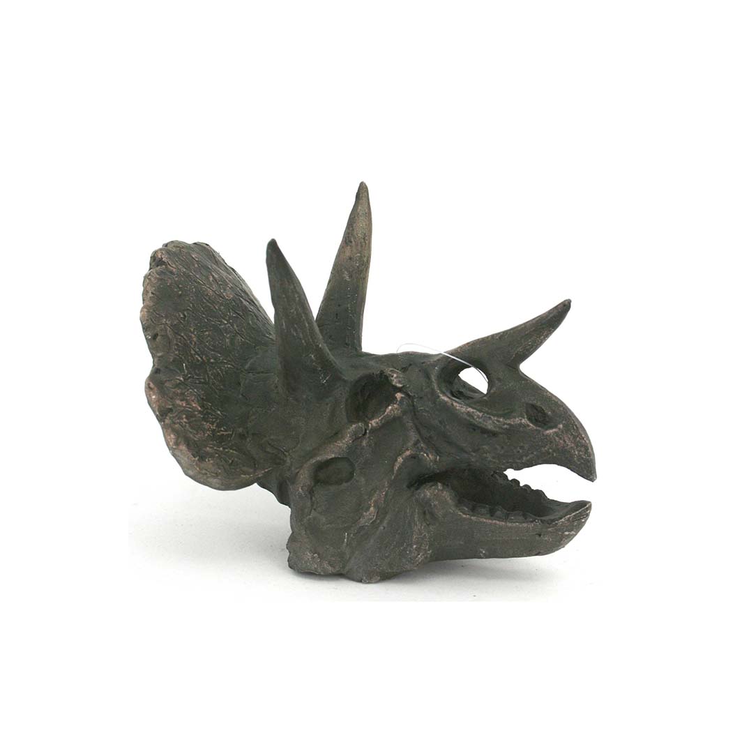 Faux Triceratops Mini Dinosaur Fossil Skull