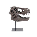Faux T-Rex Tyrannosaurus Rex Dinosaur Medium Fossil Skull