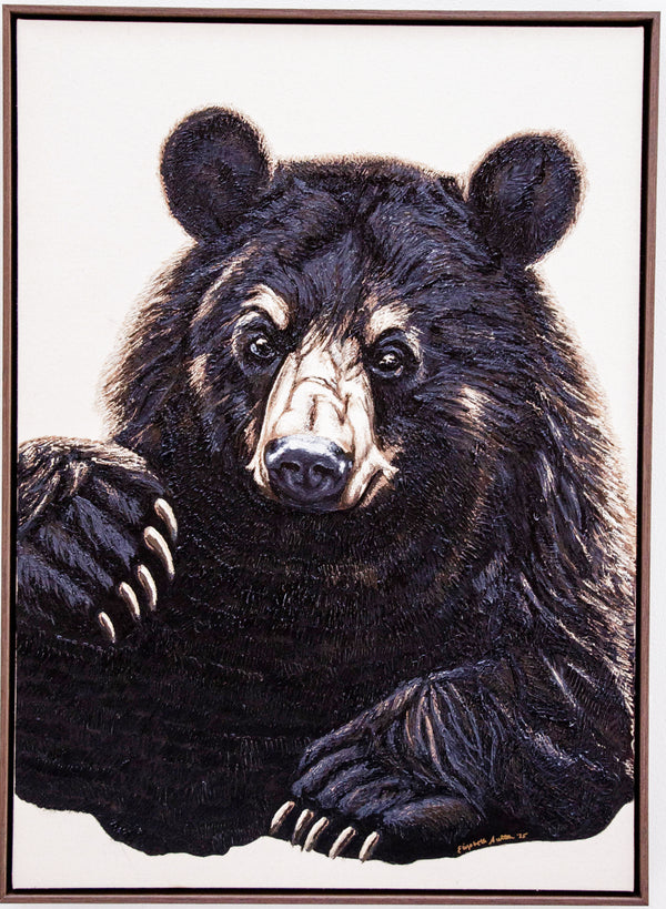 Black Bear