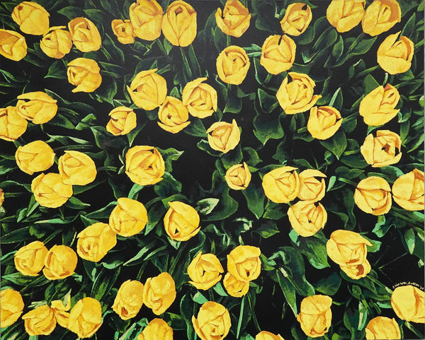 Yellow Tulips