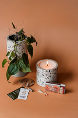 Nico Candle (6 oz) - Soy Wax, Non-Toxic, Best Seller: Sandalwood & Tobacco Leaf