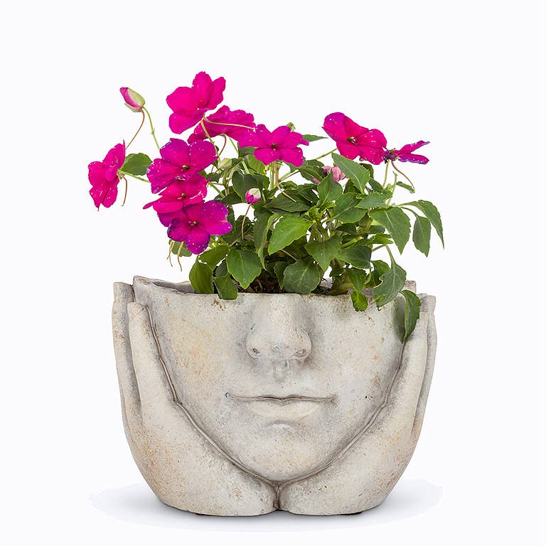 Face in Hands Cement Planter, Small
