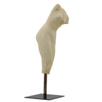 Athena Torso With Metal Base