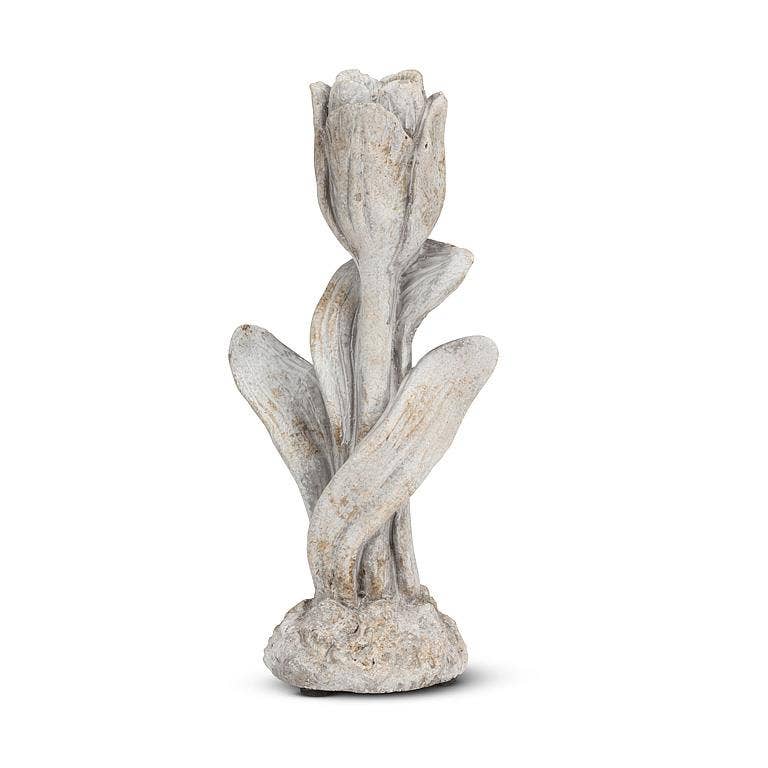 Tulip Stem Cement Taper Holder