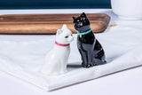 Cuddling Cat Salt & Pepper-3.75"H-1712