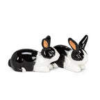 Dutch Rabbit Ceramic Salt & Pepper Shakers