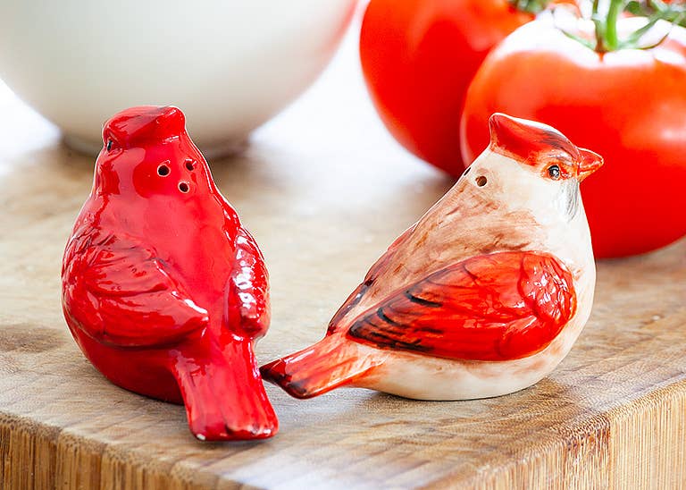 Cardinal Ceramic Salt & Pepper Shakers