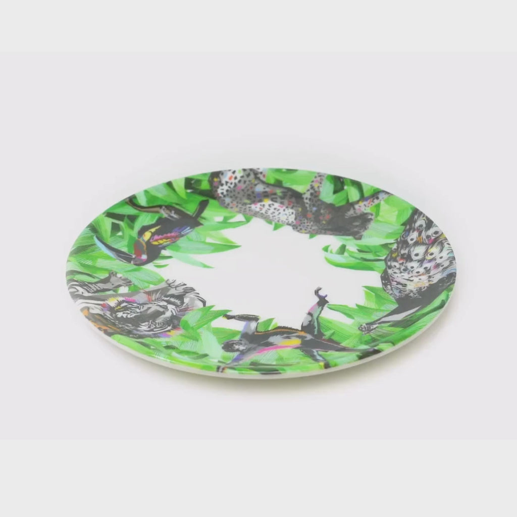 Pura Vida Melamine Salad Plates, Set of 4