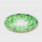 Pura Vida Melamine Dinner Plates, Set of 4