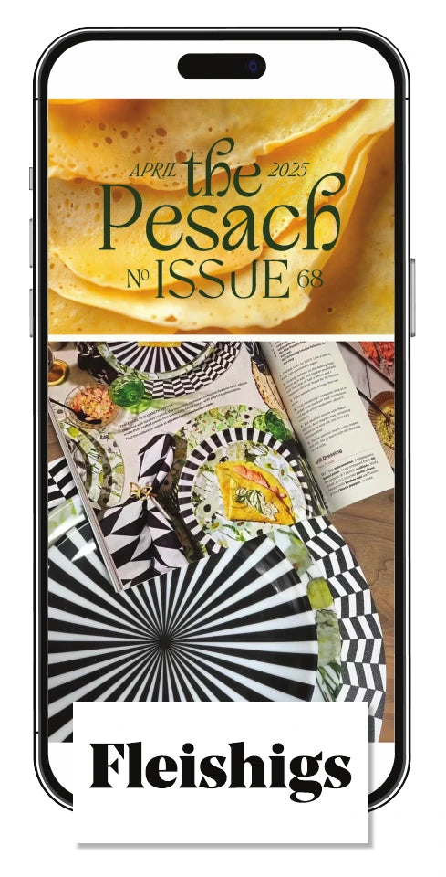 Fleishigs Magazine, The Pesach Issue