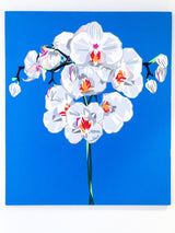 elizabeth_sutton_collection_originals