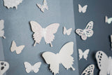 Ombre Butterflies