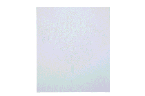 Orchid