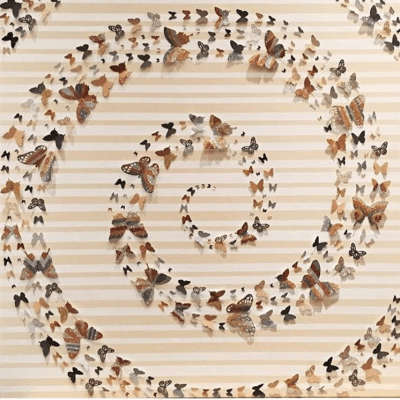 Neutral Butterflies